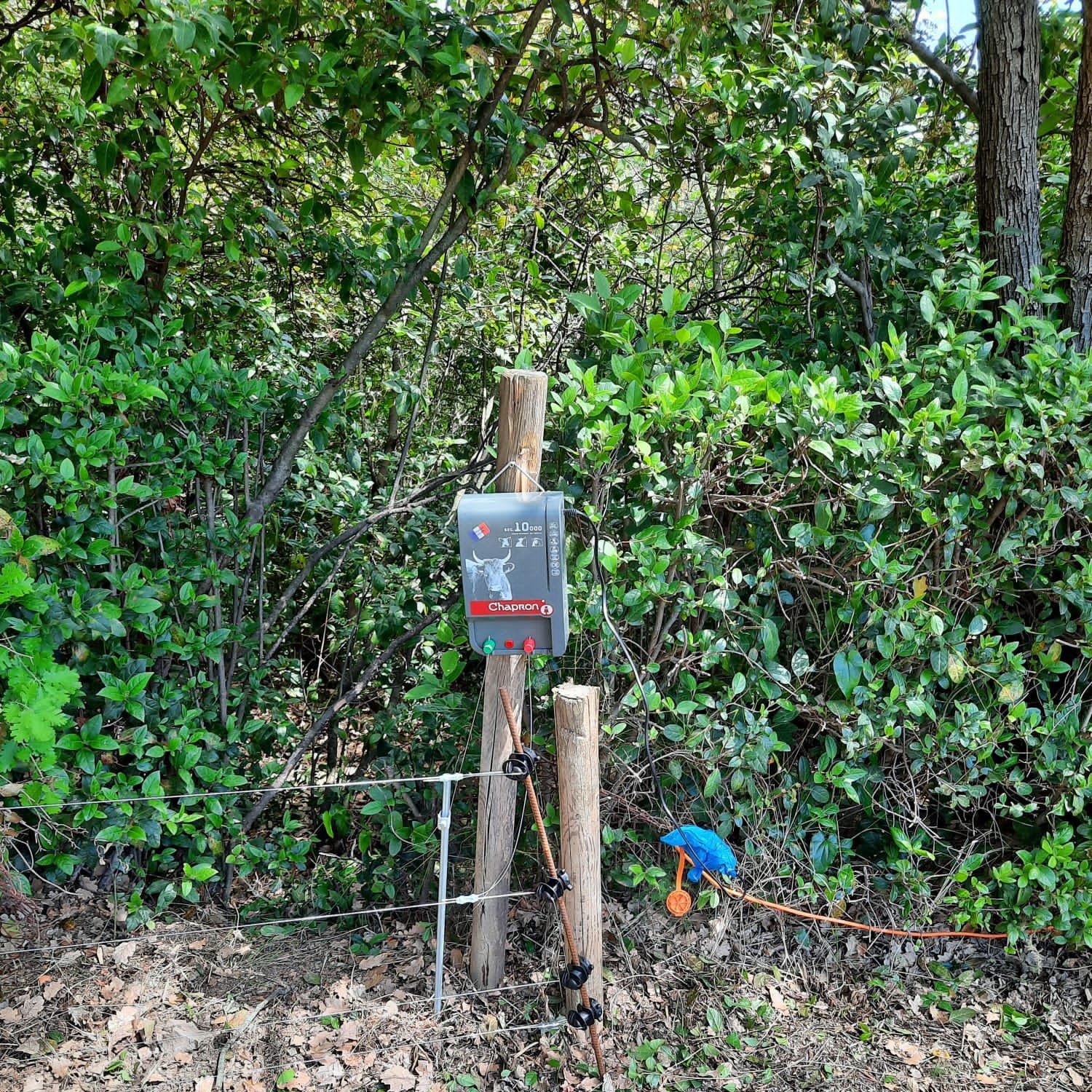  © Jardi Lune Paysages