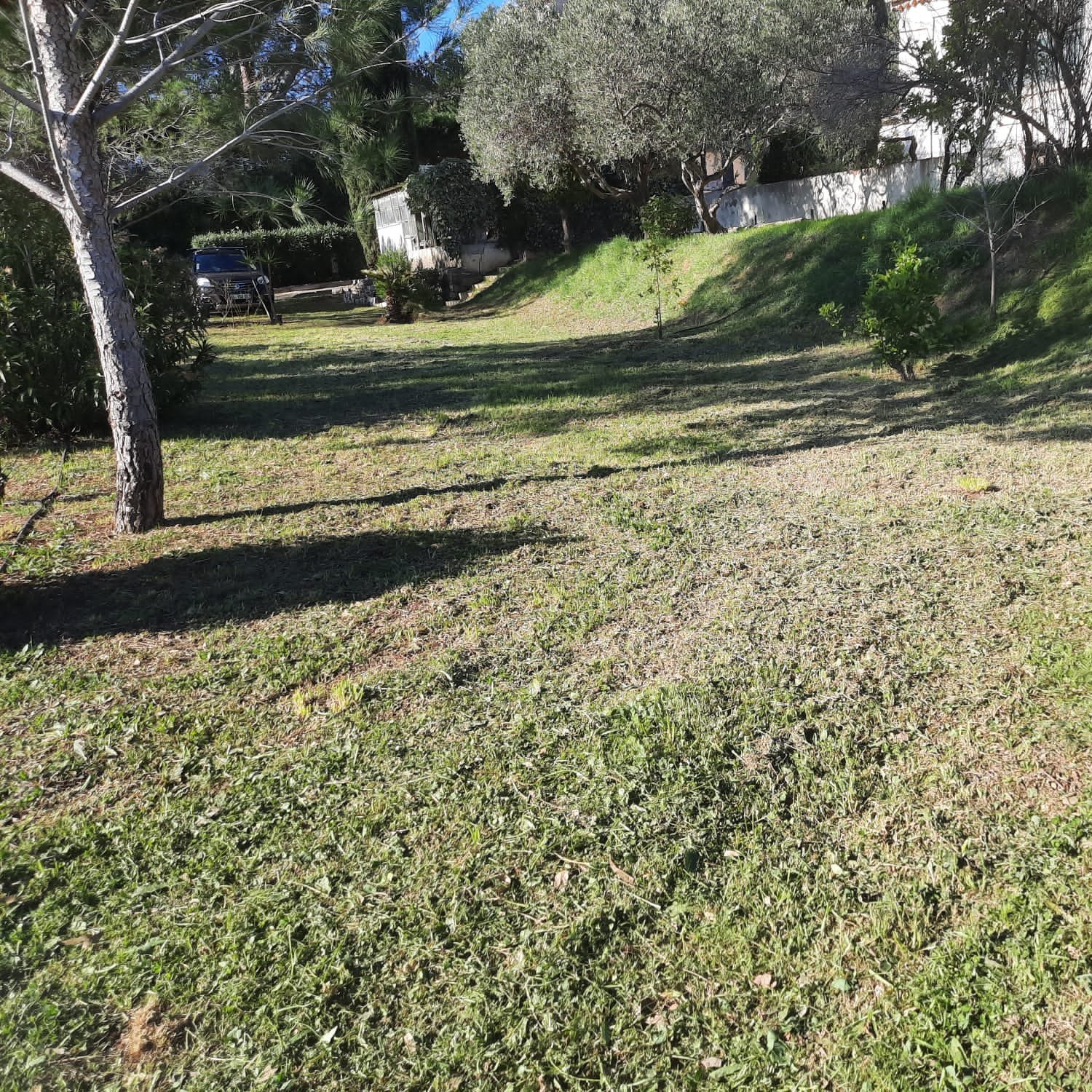  © Jardi Lune Paysages