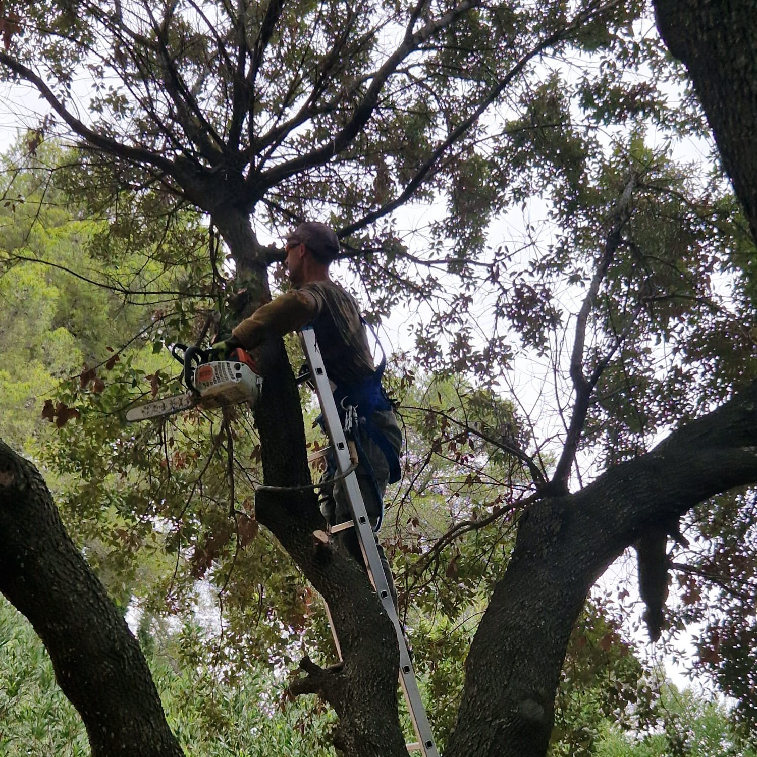  © Jardi Lune Paysages