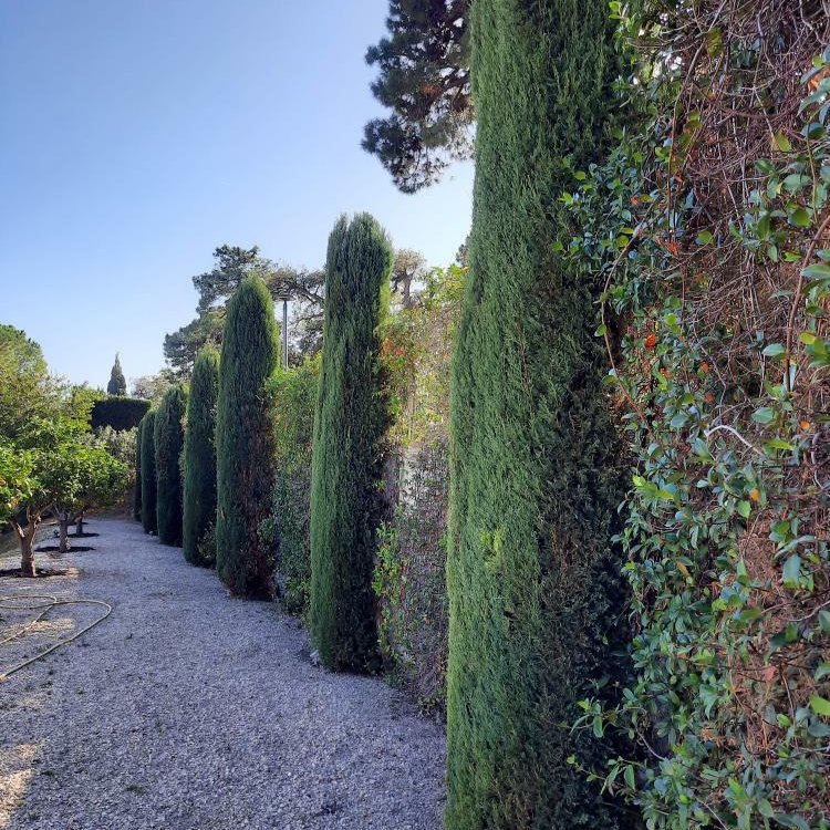  © Jardi Lune Paysages